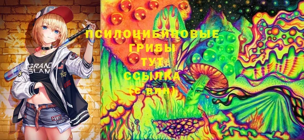 мескалин Гусев