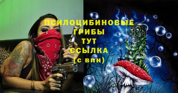 mdma Гусь-Хрустальный