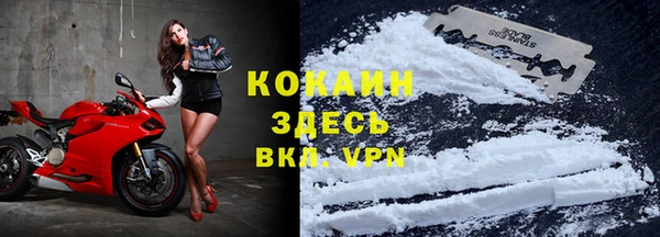 мескалин Гусев